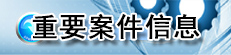 重要案件信息