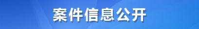 案件信息公开