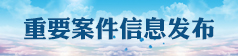 案件信息公开