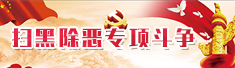 扫黑除恶专项斗争