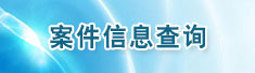 案件信息查询