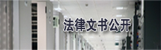 法律文书公开