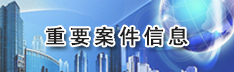 重要案件信息