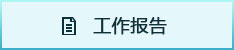 工作报告