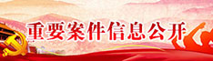 重要案件信息公开